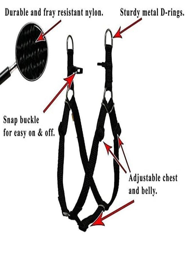 Pups&Pets 15 MM Soft Nylon Adjustable Bone Paw Printed Colourful Puppy Nylon Harness Set with Metal Hook Leash (Red) - Image 4